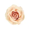 50pcs Artificial Flowers High Quality Fake Roses Wedding Bridal Clearance Accessories Decorative Home Decor Diy Gifts Candy Box 240325