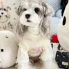 Köpek Giyim Renkli Polka Dotlar Sonbahar ve Kış Evcil Hayvanlı Kolsuz Yelek Sıcak Sweaters Puppy Schnauzer Maltese Bichon Küçük Giysiler