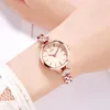 Relojes de pulsera Relojes de mujer de moda Pulsera de aleación fina Diamante 3ATM Resistencia al agua Reloj de cuarzo de lujo para mujer Café Oro rosa