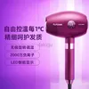 Hair Dryers Electric Hair Dryers Household Non Harmful Constant Temperature Fast Drying Hair Dryers Negative Ion Light Tone 240401