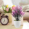 Dekorativa blommor 2 datorer Desktop Decor Cartoon Plant Potted Bonsai Ornaments Plastic Artificial Flower Model Tablettop