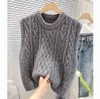 Designer Sweaters Fashion Casual Clothing Hoodies Spring/summer New Sleeveless Sweater Vest Trendy Autumn