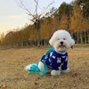 Dog Apparel Pet Super Cute Cartoon Small Cat Clothes Are And Than Bear Fighting Hair