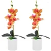 Decorative Flowers 2pcs Artificial Potted Flower Orchid Tabletop Moth Orchids Garden Window Home Decoration Ornaments