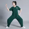 Etnisk kläder kinesisk stil tai chi kostym män kvinnor vår sommar prestanda medelålders gammal träning kampsport klänning uniform