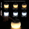 Retro Camping Lantern USB Rechargeable Haning Hook Night Light Battery Powered Tent Table Light For Outdoor Emergency Table Lamp 240329