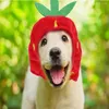 Costume da petatore per copie dell'abbigliamento per cani divertenti peluche corto inspellico cappello da fragole gatto morbido