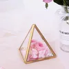 Hooks Glass Jewelry Box Golden Geometric Decorative Pyramid Ring Holders For Wedding Birthday Present S