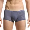 Underpants Sexy Summer Men Transparent U-Convex Ice Silk Thin Solid Underwear Soft Shorts Panties Briefs Jacquard Mens Boxers