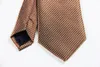 Bow Ties Classic Plaid Brown Silver Tie Jacquard geweven zijde 8 cm Heren Ntransactiek Zaken Wedding Party Formele nek