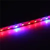 Tam Spektrum SMD5050 LED Grow Strip Işığı Süper Gereksiz LED Hidroponik Bitki Büyüyen Işık Büyüyen Lamba Kırmızı Mavi Kırmızı Mavi 4: 1 LL