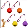 Jouet pour chien balle en caoutchouc cheveux dorés jouet pour animaux de compagnie balle molaire grand chien formation résistant aux morsures corde solide balle extensible