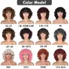 Wigs Short Hair Afro Curly Wig With Bangs For Black Women Synthetic Ombre Glueless Cosplay Wigs High Temperature Annivia