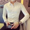 Мужские классические рубашки 2024, весенне-осенняя однотонная рубашка с длинным рукавом, мужская одежда, приталенная повседневная официальная одежда, офисная блузка, топы Homme, A245