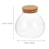 Vases Circle Vase Moss Crafts Container Landscape Bottle Micro Planter Glass Home Empty DIY