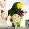 Inne zaopatrzenie ptaków bites zabawka Parrot Parrot Makaw Luffa Bell Swing Scratcher Wspinaczka