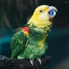 Andra fågelförsörjningar 10 st ihåliga klockbollplastplastbollar Klockor leksaksleksaker katten för papegojor som foderar