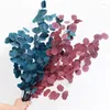 Decorative Flowers Natural Eucalyptus Leaf Dried Artificial Plants Decor Wedding Bouquets Real Touch DIY Home Living Room Decoration