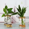 Vases Pot de fleur hydroponique transparent imitation verre plantation sans sol en pot plante verte résine vase à la maison