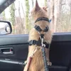 Cão coleiras cinto de segurança ajustável durável carro reflexivo elástico náilon bungee conectar arnês no veículo cinta de viagem leva