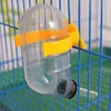 Bouilloire pour Hamster, ours doré, buveur de cochon d'inde, distributeur d'eau pour animaux de compagnie, petite bouilloire sous vide silencieuse de 60ml