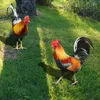 Garden Decorations 2 Pcs Acrylic Rooster Lawn Stakes Outdoor Animal Chicken Statues