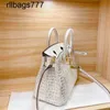 Кожа BK Outlet Luxurys Platinum Designer Descags Sudbags Alligator Pattern Горизонтальный квадратный пакет