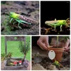 Garden Decorations Locust Animal Model Kid Cognitive Toy Tidig utbildning Plaything Insect Simulation Kids Playthings Ornament