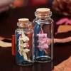 زجاجات التخزين 10pcs 5-20 مل زجاج صافية مصغرة مع Cork Stopper DIY Drifting Bottle Vials حاويات التوابل