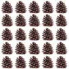 Vases TOYMYTOY 50pcs 6-8cm Christmas Natural Pine Cones Pinecone Decor Xmas Tree Decoration Crafts Home House Kitchen Winter