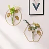 Vases Creative Hydroponics Planteur Vase Verre Oiseau Ginkgo Biloba Fleur Terrarium Tubes À Essai Pot Pour Table De Bureau