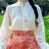 Kvinnor förbättrade Hanfu Hög midja häst ansikte veckad kjolblusdräkt vintage kinesisk traditionell ming dynastikräkt