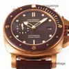 Paneraiss Men's Wrist Watches Automatic Swiss Watch Automatic Mechanical Men's Swimming Waterproof Wristwatches Stainle WN-D57Z