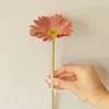 Kwiaty dekoracyjne Gerbera Pełne świeże elastyczne poczucie rzeczywistości Grace Clear Gruby liście wysokiej jakości materiał przezroczysty