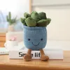 Plantes succulentes en pot souriantes, décoration du salon, de la maison, cœur de fille, jouet en peluche mignon pour décoration de personnes âgées