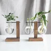 Vasos quadro de madeira hidropônico vaso transparente vidro arranjo de flor recipiente decoração de mesa para plantas de abacaxi verde