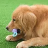 Novo brinquedo para moagem de dentes de cachorro, ferramenta de alívio automático, suprimentos para animais de estimação de tamanho médio, adesivo anti-mordida