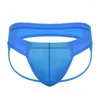 Underpants Sexy Mens Backless Briefs Gay Underwear Lingerie Breathable See-through Panties Low Waist Triangle Thongs