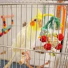 Diğer Kuş Malzemeleri Rattan Balo Toys Parkeets Interactive Isırık Çiğneme Muhabbet Poşeet Kafes Aksesuarları Parrot Cages Oyuncak