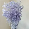 70g réel naturel frais pour toujours babysbreath séché préservé bébé souffle fleurs bricolage sec gypsophile fleur bouquet pour la décoration intérieure 240325