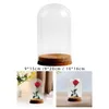 Vases à fleurs préservées, couvercle en verre, dôme, cloche, affichage transparent