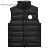 Canadas goosejacket gilet di alta qualità oca crofton anatra bianca giunta inverno calde da donna gilet ladys vest di alto livello hightend body hightend body hightend corpo