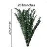 Fleurs décoratives 20 pièces conservées pour branches d'eucalyptus fraîches tiges séchées feuilles de plantes bouquet arrangements floraux fête de mariage décembre