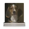 Placemats The Beagle's Curious Gaze keramische onderzetters (vierkant) Personaliseer Flower Cup Mat Schattig