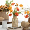 Wazony szklany wazon kwiatowy z tkaniną rattanu ozdobą dekoracyjną do salonu willa wiejska