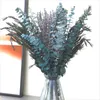 Fleurs décoratives 80g tiges d'eucalyptus séchées pour douche paquet de fleurs de lavande naturel vraie feuille décor à la maison arrangements de mariage