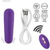 Andere gezondheidsschoonheidsartikelen Bullet Vibrator met afstandsbediening groothandel vibrerend slipje USB oplaadbaar 10 Speed vibrerend slipje voor vrouwen Y240402
