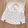 Girls' shirt 2024 new long-sleeved spring and autumn cotton lapel lace Korean version of the top for girls and foreign children's clothing