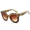 Lunettes de soleil Style coréen Designer femme forme oeil de chat UV400 Protection femmes lunettes de soleil Vintage rétro femme lunettes de soleil