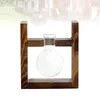 Vases 1Pc Wooden Rack Glass Vase Creative Simplicity Hydroponic Green Plant Container Modern Style Desktop Art Decoration